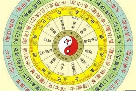 11月五行|生辰八字查询，生辰八字五行查询，五行属性查询